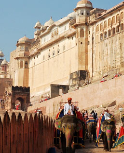 Amber Fort with Elephant Ride - Jaipur