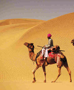 Mandawa desert