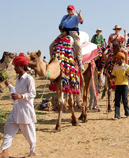 Camel Ride in Pushkar fair