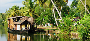 Kerala Backwater